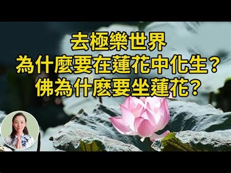 蓮花代表什麼意思 十神 五行